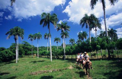 Repubblica Dominicana